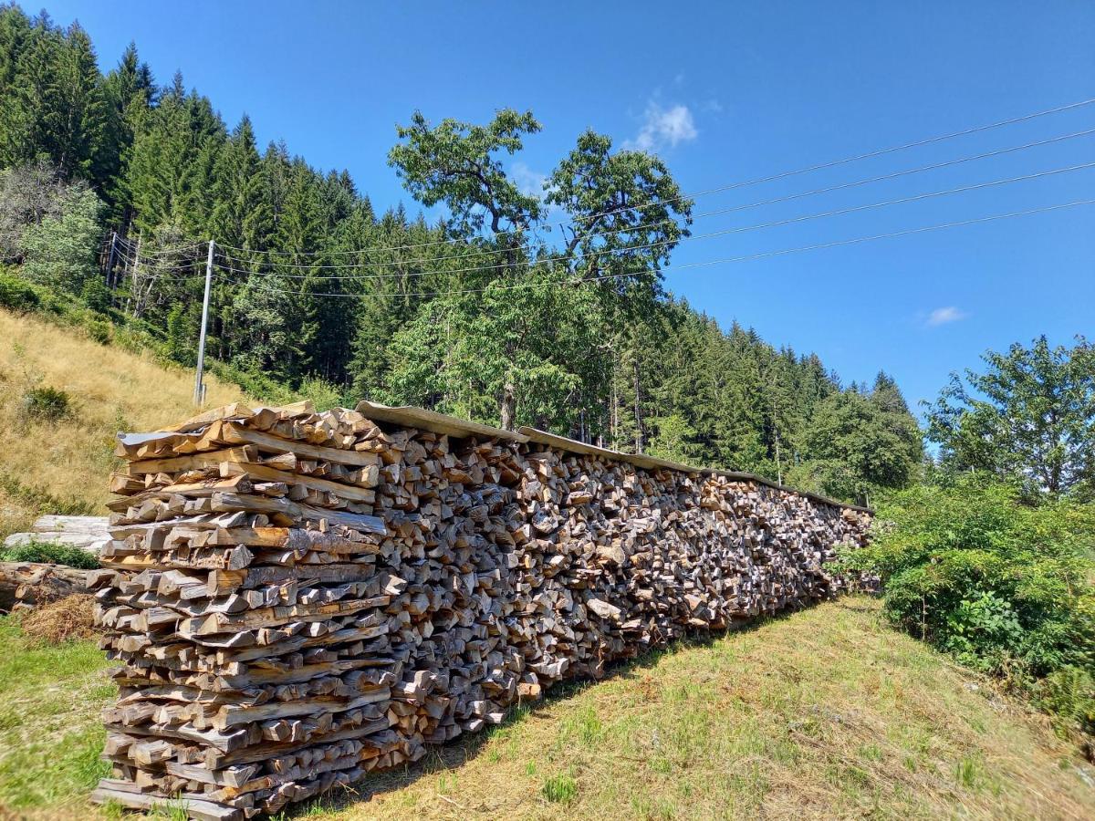 Landhaus Gruenjuwel Himmelberg Kültér fotó