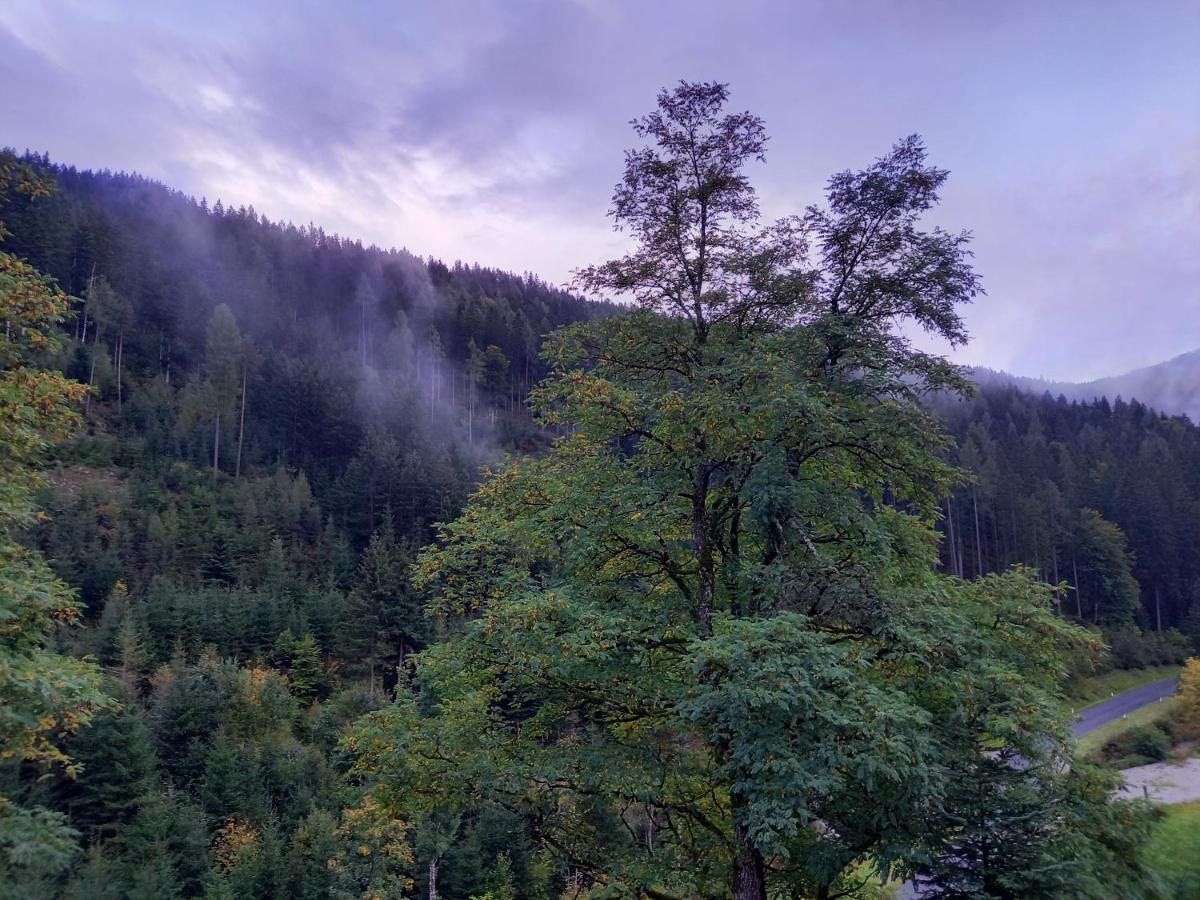 Landhaus Gruenjuwel Himmelberg Kültér fotó