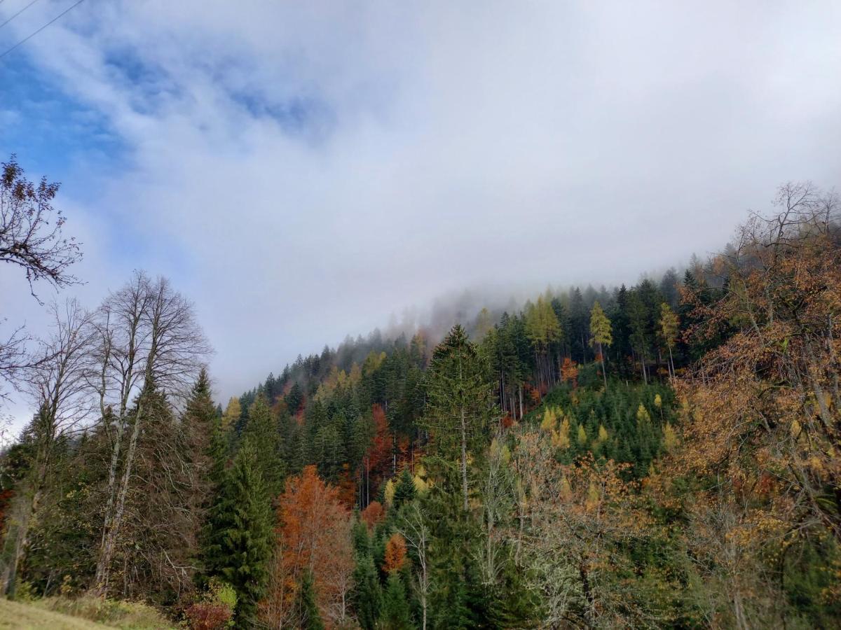 Landhaus Gruenjuwel Himmelberg Kültér fotó
